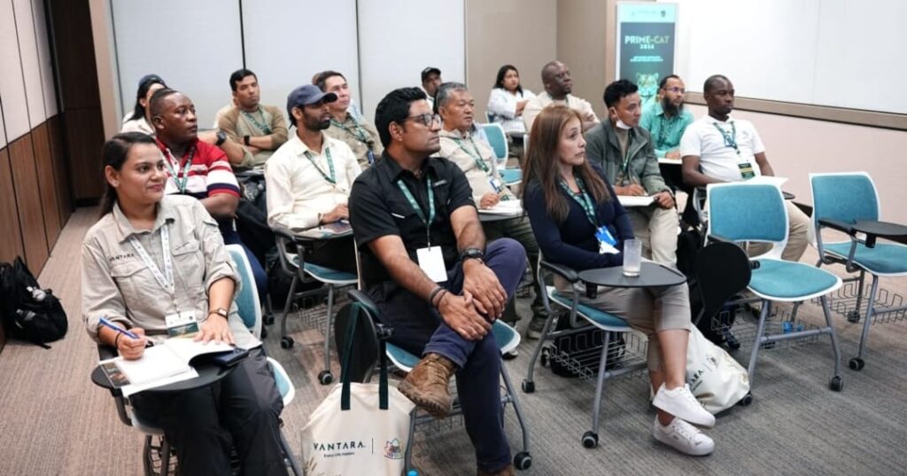 Panamá va a India a aprender a proteger mejor a sus felinos silvestres 2 Fundación Yaguará fortalece la conservación de felinos
