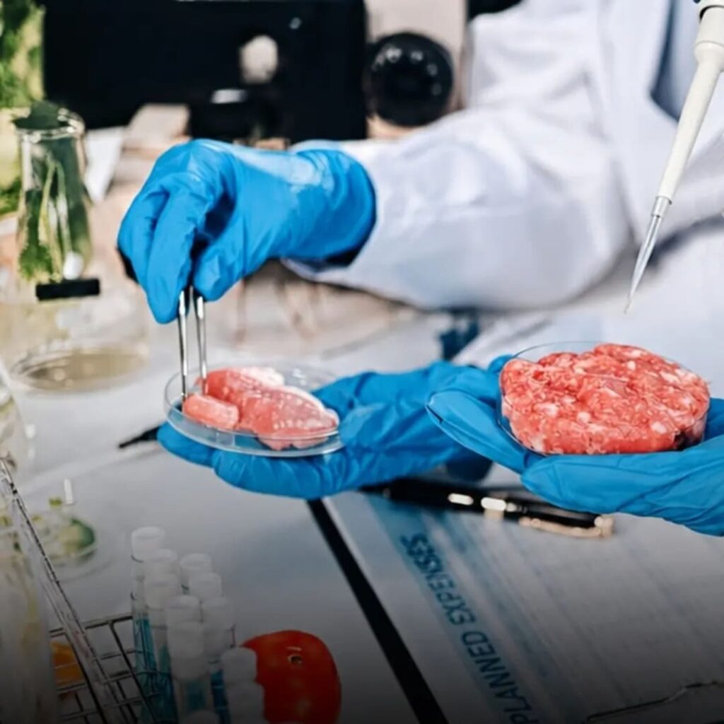Italia prohíbe la carne cultivada en laboratorios