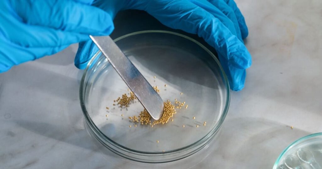 Italia prohíbe la carne cultivada en laboratorios