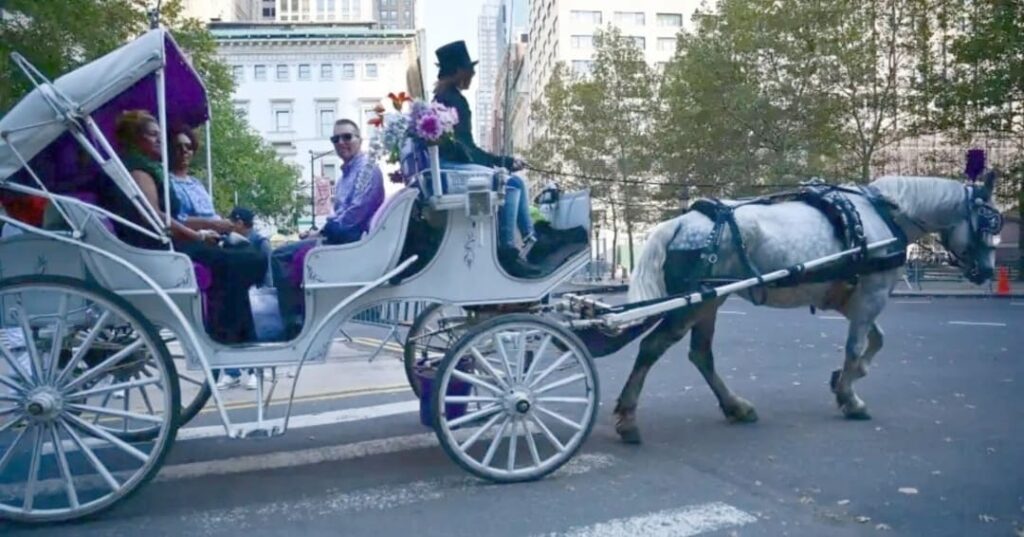 Nueva York dice adiós a los carruajes de Central Park: la Ley Romanch ya es una realidad 4 Nueva York aprueba la ley Romanch
