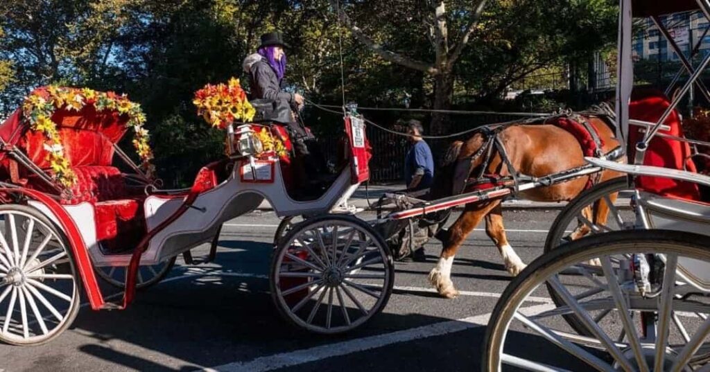 Nueva York dice adiós a los carruajes de Central Park: la Ley Romanch ya es una realidad 1 Nueva York aprueba la ley Romanch