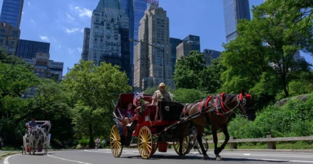 Nueva York dice adiós a los carruajes de Central Park: la Ley Romanch ya es una realidad 2 Nueva York aprueba la ley Romanch