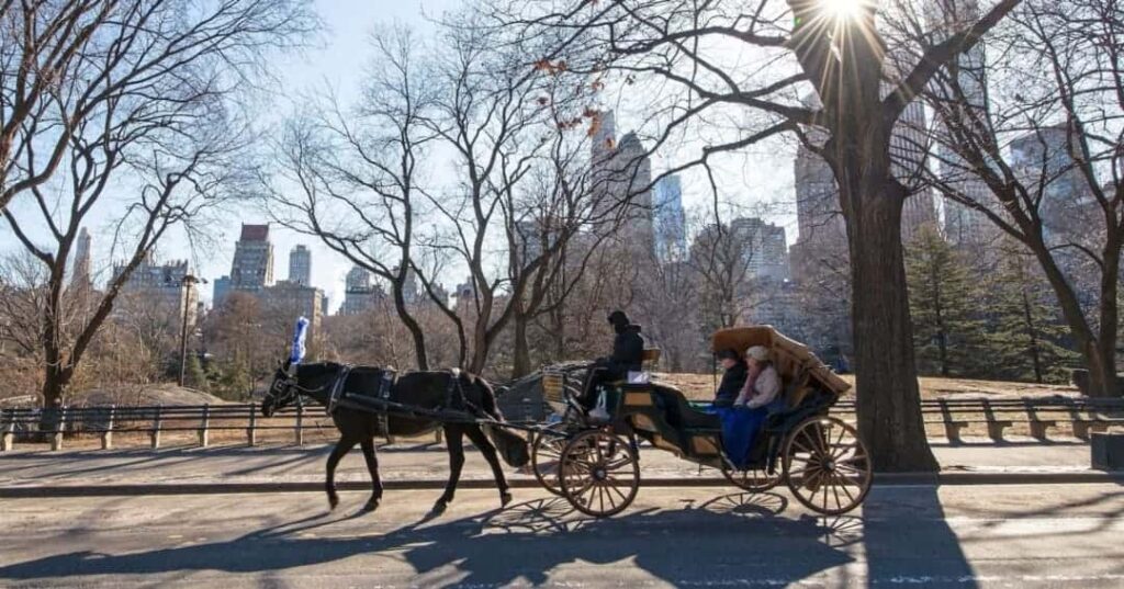 Nueva York dice adiós a los carruajes de Central Park: la Ley Romanch ya es una realidad 6 Nueva York aprueba la ley Romanch
