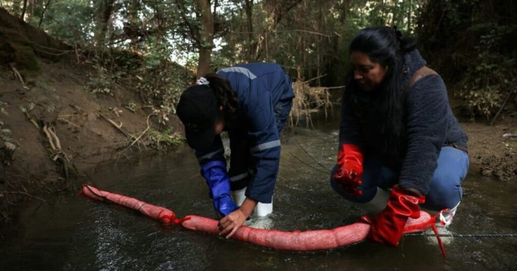 El cabello que desechas podría limpiar un río: así funciona Petropelo 1 Petropelo de Matter of Trust