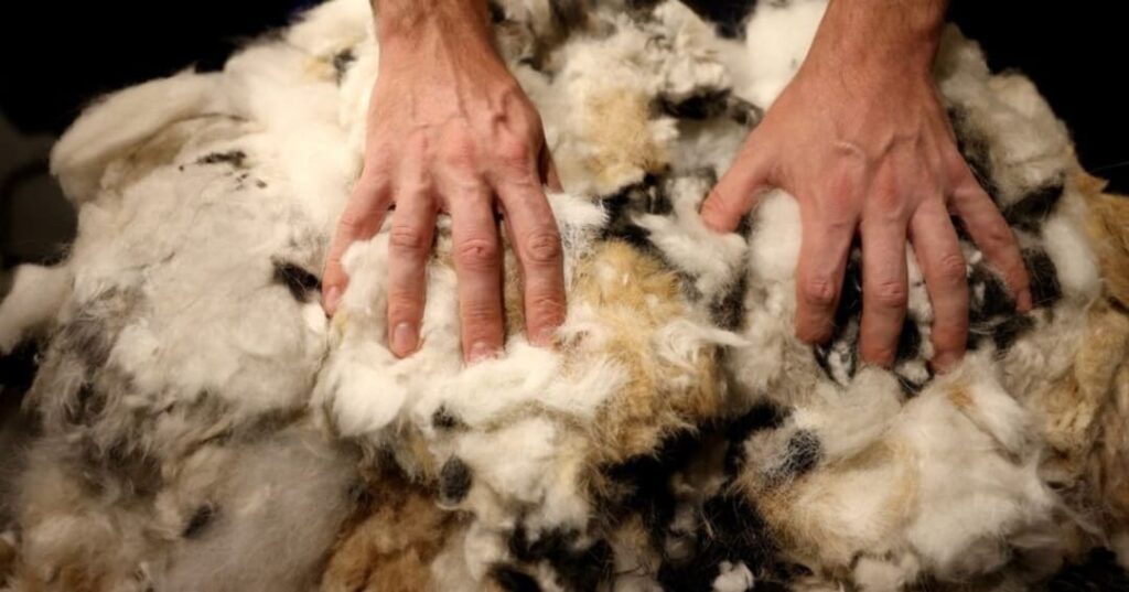 El cabello que desechas podría limpiar un río: así funciona Petropelo 6 Petropelo de Matter of Trust