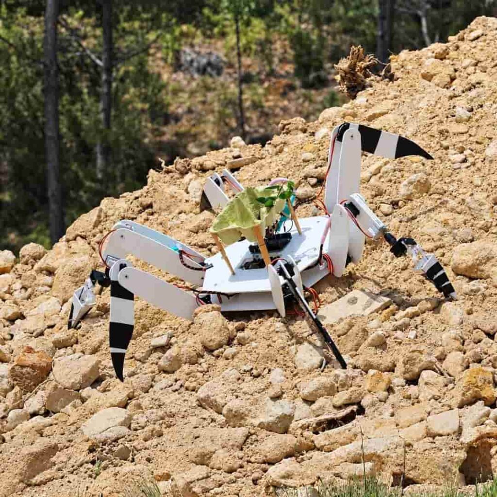Trovador: el robot portugués que replanta bosques donde nadie más llega 4 Robot Trovador