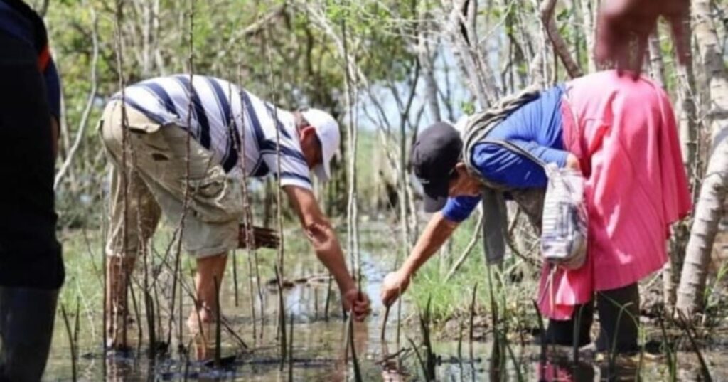 mujeres de El Salvador que usan ciencia comunitaria