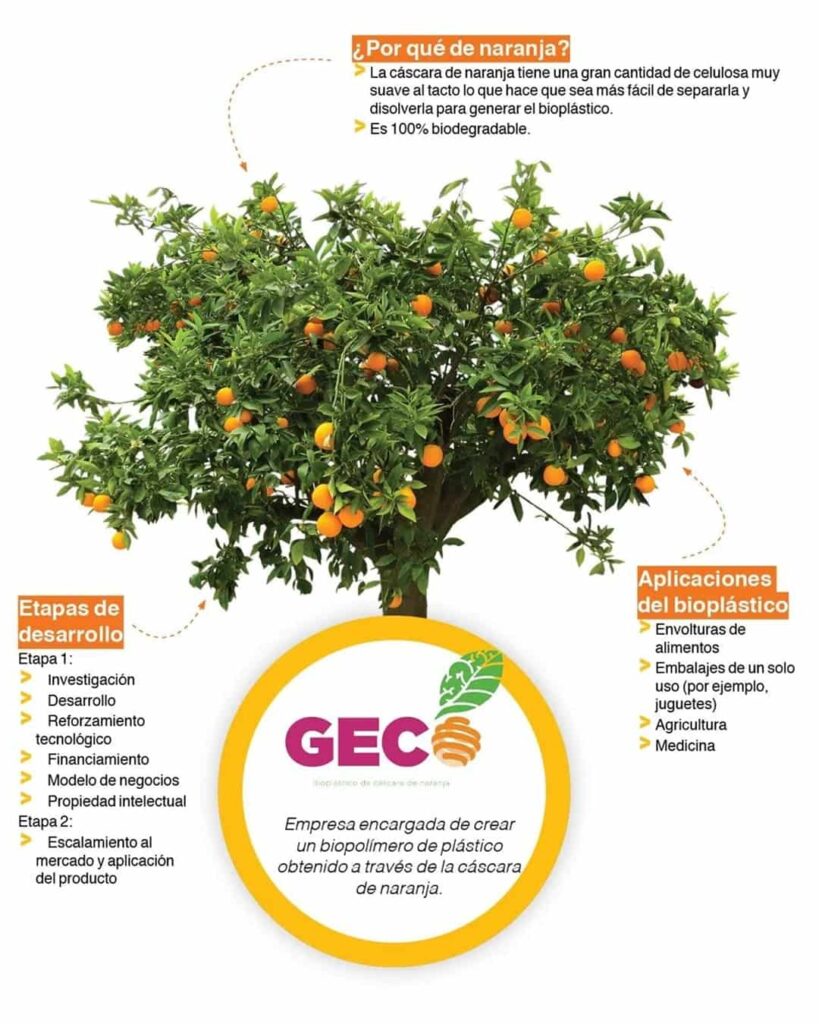 Convirtió residuos de naranja en bioplástico y ganó el premio al emprendimiento más innovador de México 3 startup Geco